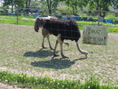 IMG 1079